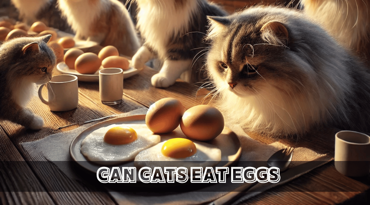 You are currently viewing Can Cats Eat Eggs? A Complete Guide to Safely Feeding Eggs to Your Cat