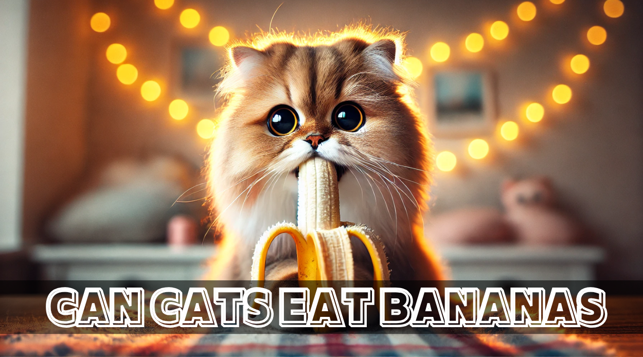 You are currently viewing Can Cats Eat Bananas? A Complete Guide to the Benefits, Risks, and Safe Feeding Practices