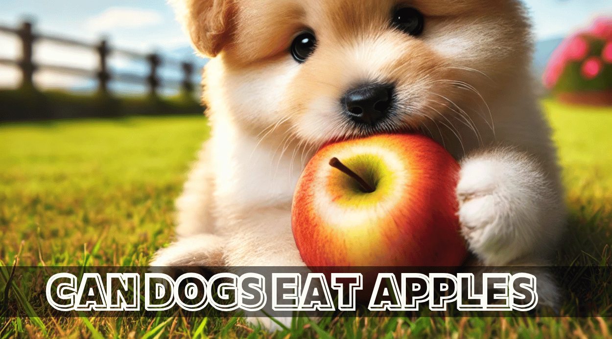 You are currently viewing Can Dogs Eat Apples? A Complete Guide to the Benefits, Risks, and Safe Feeding Practices for Your Dog