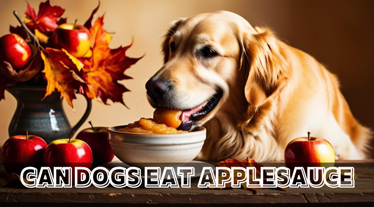 Read more about the article Can Dogs Eat Applesauce? A Complete Guide to Safe and Healthy Feeding