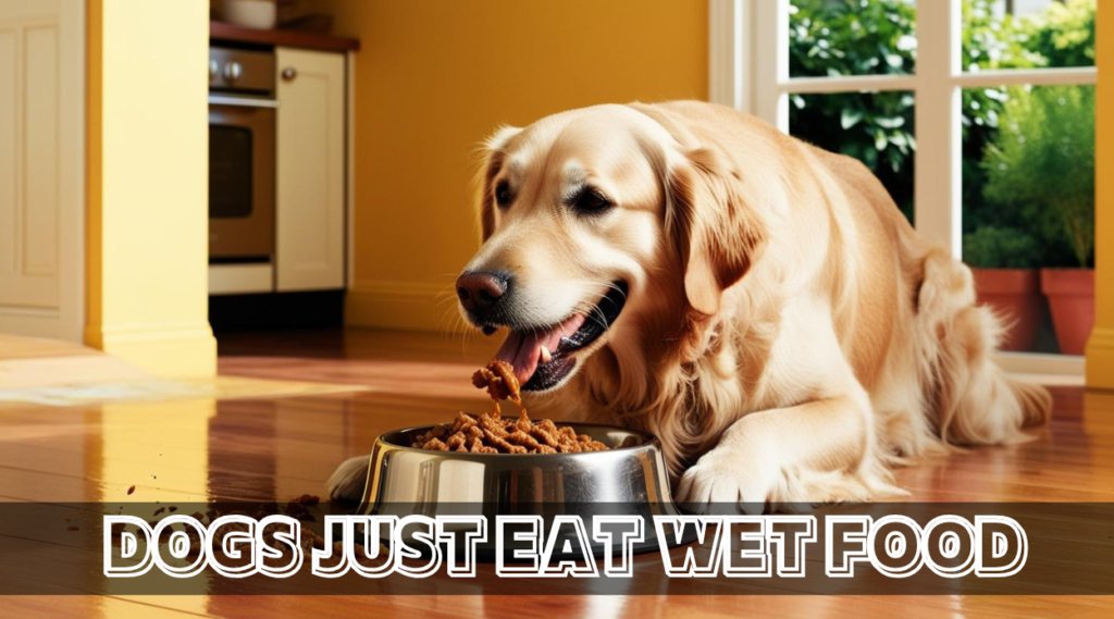 Can Dogs Just Eat Wet Food? Pros, Cons, and Feeding Guidelines