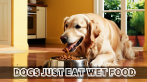 Read more about the article Can Dogs Just Eat Wet Food? Pros, Cons, and Feeding Guidelines